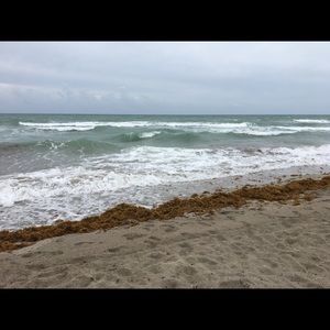 Meet your Posher, Jessenia